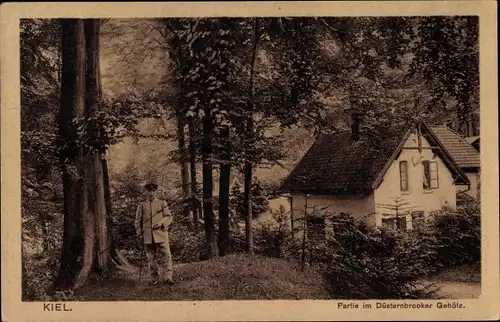 Ak Düsternbrook Kiel, Düsternbrooker Gehölz