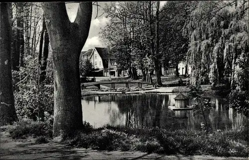 Ak Visselhövede in Niedersachsen, Visselquelle