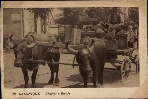Ak Thessaloniki Griechenland, Chariot a Boeufs
