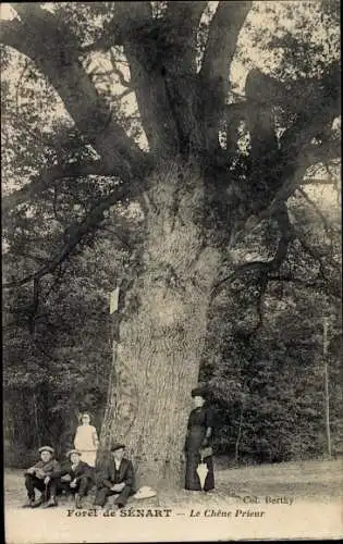 Ak Forêt de Sénart Essonne, Le Chene Prieur