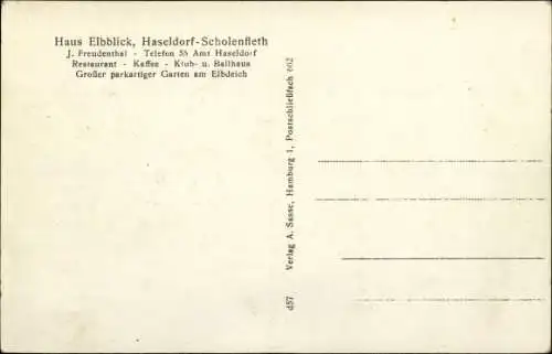 Ak Haseldorf in Holstein, Scholenfleth, Haus Elbblick