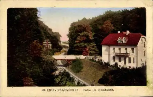 Ak Gremsmühlen Malente in Ostholstein, Partie im Steinbusch