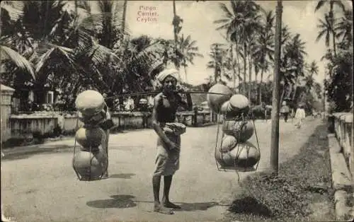 Ak Ceylon Sri Lanka, Pingo Carrier, Straßenhändler