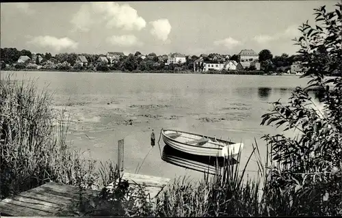 Ak Reinfeld in Holstein, Herrenteich