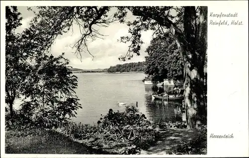Ak Reinfeld in Holstein, Herrenteich