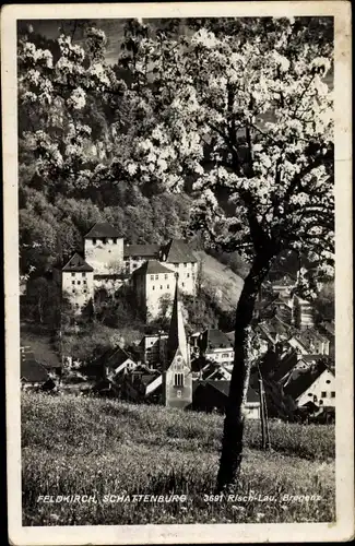 Ak Feldkich Bregenz am Bodensee Vorarlberg, Schattenburg, Baumblüte