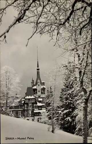 Ak Sinaia Rumänien, Muzeul Peles, Winter