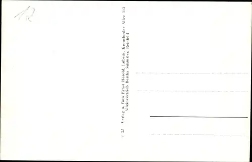 Ak Reinfeld in Holstein, Gartenhaus, Park Igel, Genesungsheim, Gartenanlage