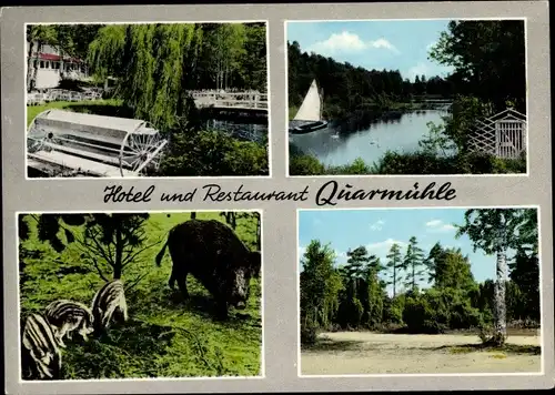 Ak Habighorst in Niedersachsen, Hotel und Restaurant Quarmühle, Segelboot, Wildschweine