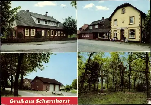 Ak Scharnhorst Eschede in der Lüneburger Heide, Gasthaus zur Post, Waldpartie, Häuser