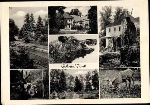 Ak Göhrde Gartow in Niedersachsen, Straßenpartie, Denkmal, Hirsche Waldpartie