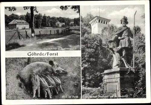 Ak Göhrde in Niedersachsen, Jagdschloss Göhrde, Wildschweine, Hubertus-Denkmal