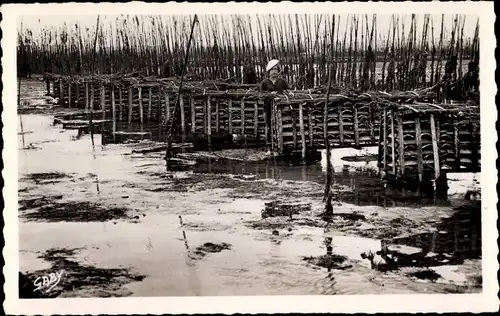Ak Arcachon Gironde, Parcs a Huitres