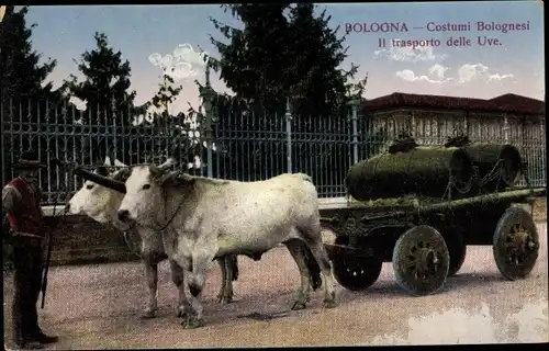 Ak Bologna Emilia Romagna, Il transporto delle Uve