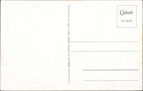 Ak Varel in Oldenburg Jadebusen, Panorama