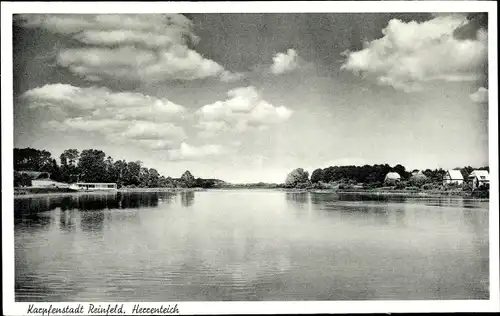 Ak Reinfeld Schleswig Holstein, Blick auf den Herrenteich