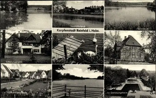 Ak Reinfeld in Holstein, Erholungsheim, Schwarzer Teich, Herrenteich, Genesungsheim