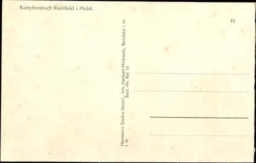 Ak Reinfeld in Holstein, Gartenpartie, Gartenhaus, Rathaus, Kurheim