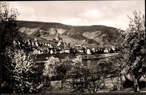 Ak Klotten an der Mosel, Gesamtansicht