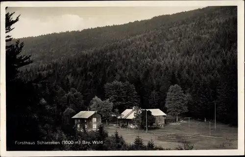 Ak Drachselsried Bayr. Wald, Blick auf das Forsthaus Scharreben, Wald