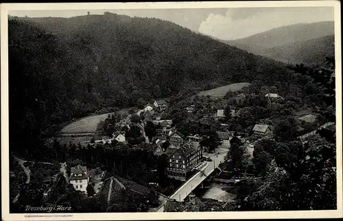 Ak Treseburg Thale im Harz, Totale