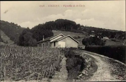 Ak Coligny Ain, Vignobles de St. Christ