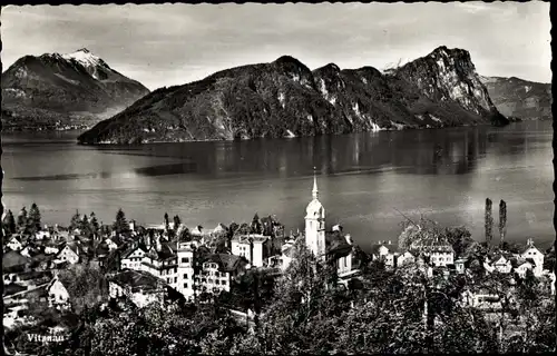 Ak Vitznau Kanton Luzern, Panorama