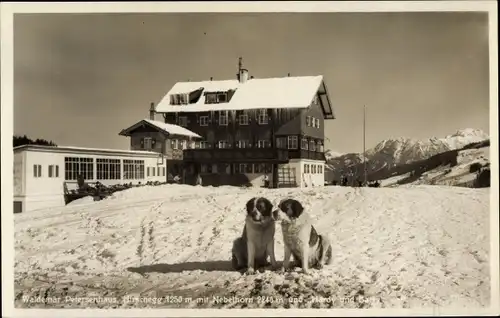Ak Hirschegg Steiermark, Waldemar Petersenhaus, Nebelhorn, Hunde Hardy und Barry