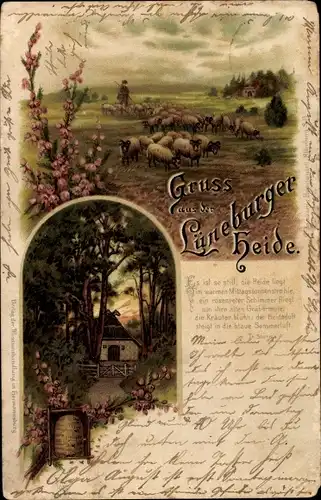 Litho Schafhirte mit Herde, Lüneburger Heide, Bauernhaus