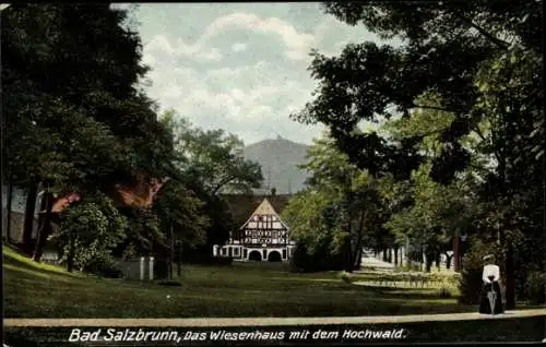 Ak Szczawno Zdrój Bad Salzbrunn Niederschlesien, Wiesenhaus mit Hochwald