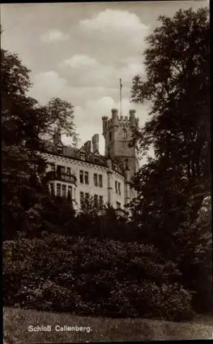 Ak Beiersdorf Coburg in Oberfranken, Schloss Callenberg