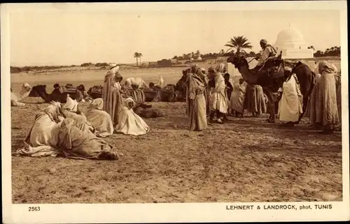 Ak Paysages d'Orient, Campement de nomades, Nomadenlager, Maghreb, Lehnert u. Landrock 2563