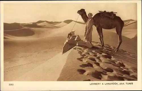 Ak Paysages d'Orient, une oasis en vue, Araber, Kamel, Maghreb