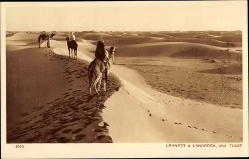 Ak Paysages d'Orient, La mer de sable, Kamele, Wüste, Maghreb