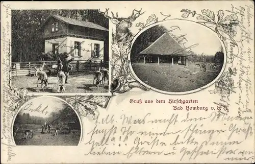Ak Bad Homburg vor der Höhe Hessen, Hirschgarten