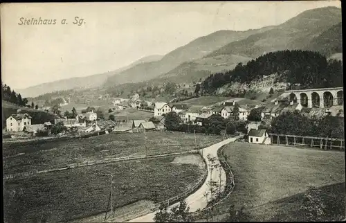 Ak Steinhaus am Semmering Steiermark, Gesamtansicht