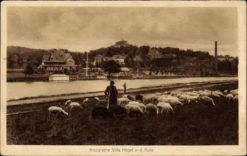 Ak Hügel Essen Nordrhein Westfalen, Krupp'sche Villa Hügel an der Ruhr, Schäfer