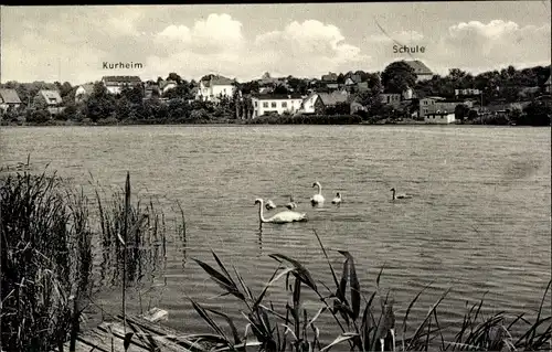 Ak Reinfeld in Holstein, Herrenteich, Schule, Kurheim, Schwäne