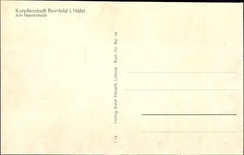 Ak Reinfeld in Holstein, Herrenteich, Schule, Kurheim, Schwäne