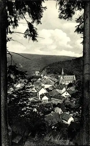 Ak Schmitten im Taunus Hessen, Gesamtansicht