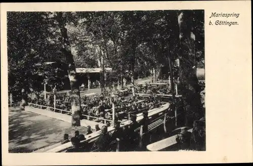 Ak Eddigehausen Bovenden Landkreis Göttingen, Mariaspring mit Waldterrasse
