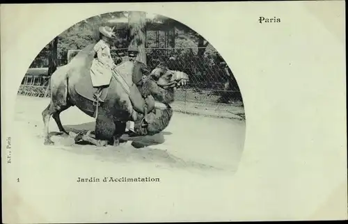 Ak Paris XVI. Arrondissement Passy, Jardin d'Acclimatation, Kamel