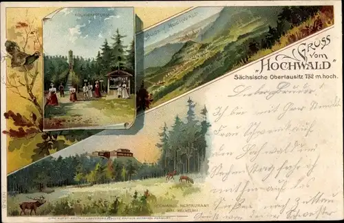 Litho Hain Oybin in Sachsen, Hochwald, Turm, Landschaftspanorama, Restaurant