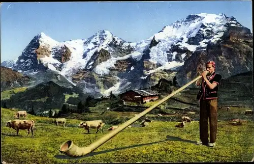 Ak Alphornbläser, Alpen, Kühe, Musiker