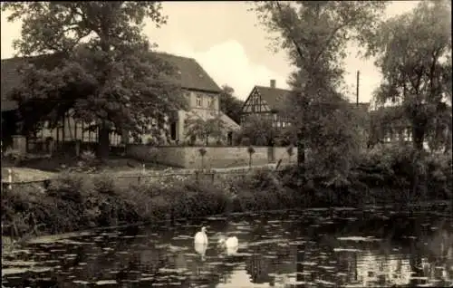 Ak Weißbach Schmölln in Thüringen, Teilansicht, Teich