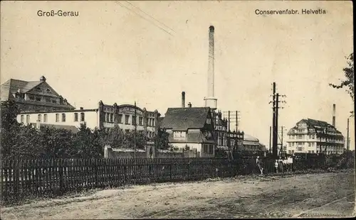 Ak Groß Gerau, Konserven Fabrik Helvetia m. Schornstein