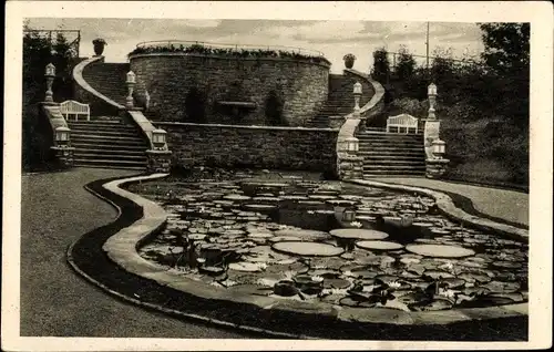 Ak Essen im Ruhrgebiet, Gruga, Ruhrländ. Gartenbauausstellung 1929, Staudenlichtung, Victoria Regia