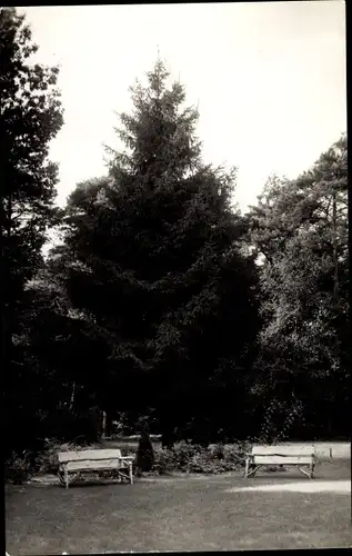 Ak Zeist Utrecht Niederlande, Stichting de Zeemanspot, Witte Hull, Parkpartie