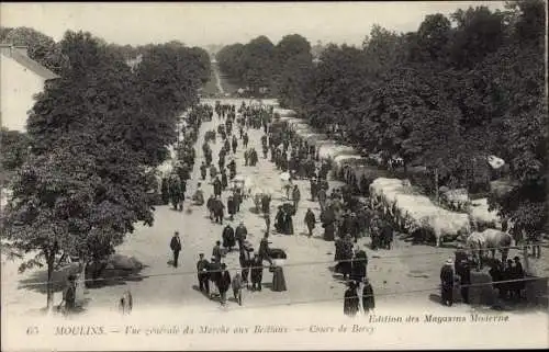 Ak Moulins Allier, Vue generale du Marche aux Bestiaux, Cour de Bercy