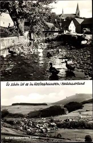 Ak Assinghausen Olsberg im Sauerland, Brückenpartie, Enten, Panorama vom Ort m. Bruchhauser Steinen